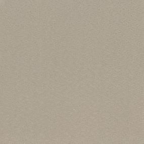 Breezy Palms - Sugar Cookie Swatch