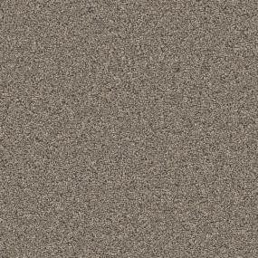 Timber Zoomed Swatch