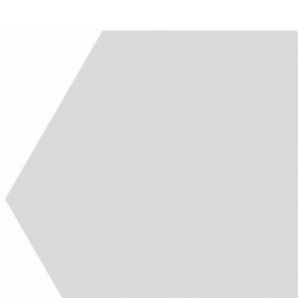 Silver Zoomed Swatch