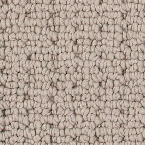 Tawny Tan Zoomed Swatch