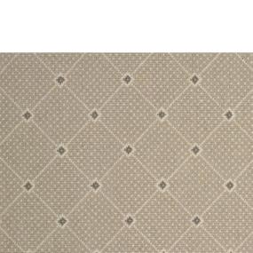 Silver Zoomed Swatch
