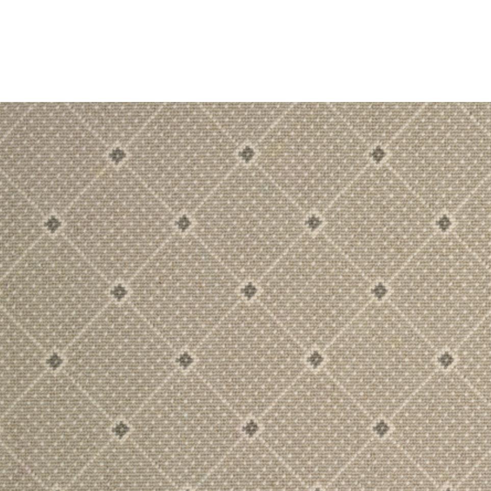Silver Zoomed Swatch