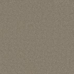 Ageless Swatch
