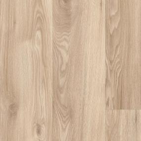 Costal Dust Zoomed Swatch