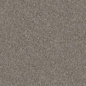 Chic Taupe Swatch Thumbnail