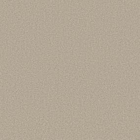 Birch Swatch Thumbnail