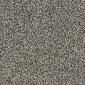 Sandpiper Zoomed Swatch