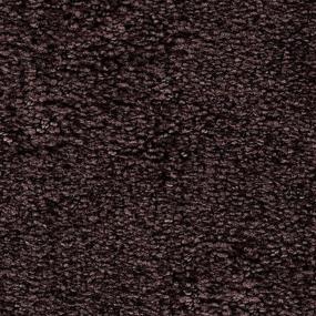 Intriguing Allure - Plumeria Swatch