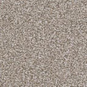 Top Dog - Pinscher Swatch