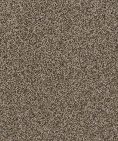 Cce 125 - Gingerbread Swatch