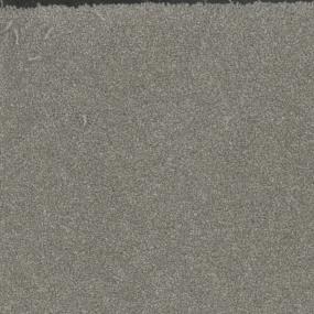 Top Choice Zoomed Swatch