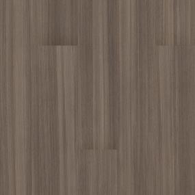 Judgement 5.0 - Carob Swatch