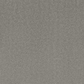 Trustworthy Swatch Thumbnail