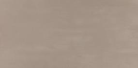 Synchronic Rectangle 12X24 Mt - Taupe Matte Swatch