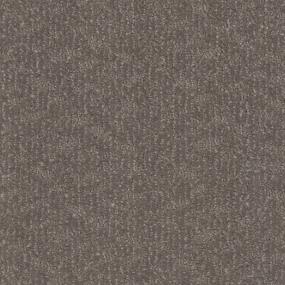 Shadowed Taupe Zoomed Swatch