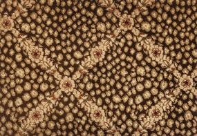 Persian Skins