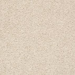 Del Morro - Desert Star Swatch