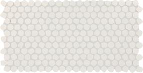 Keystones Organic Penny 1 Dm 12X22 MT Grp2