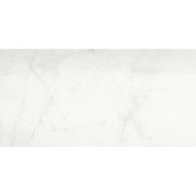 Sterlina II Polished 12X24 - White Swatch