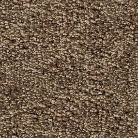 Intriguing Allure - Gentle Fawn Swatch