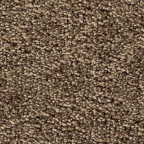 Gentle Fawn Zoomed Swatch