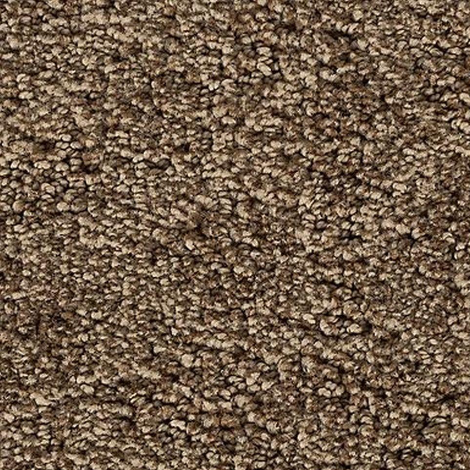 Gentle Fawn Zoomed Swatch