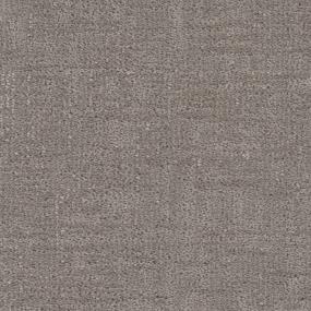 Steele Swatch