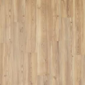Arcaten - Toasted Swatch