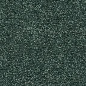 Somerset Bay - Willow Swatch