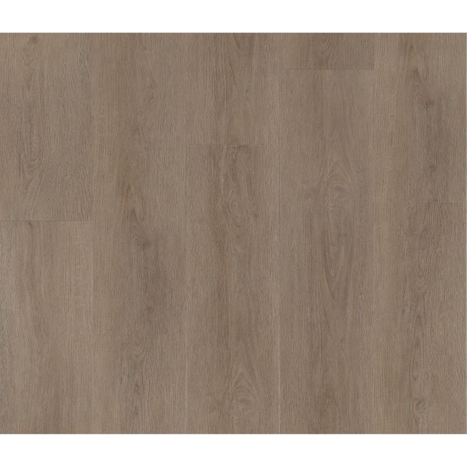 Coretec Plus Plank 7 Swatch