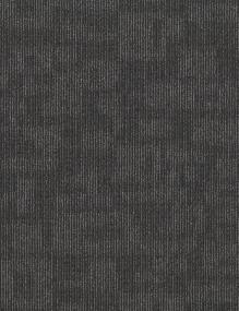 ANATOMY TL - Assessment Swatch