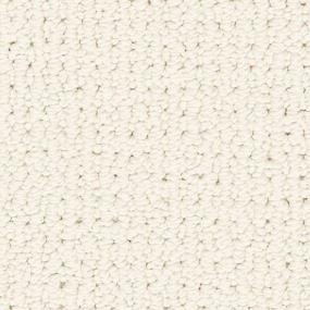 Birch Zoomed Swatch