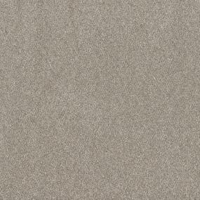 Wind Sculpted I 12' - Shaded Earth Swatch