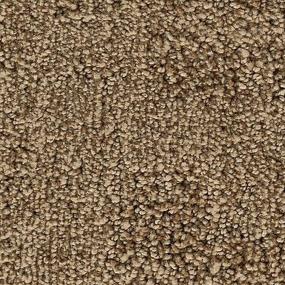 Sienna Zoomed Swatch