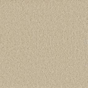 Sp251 - Classic Ivory Swatch