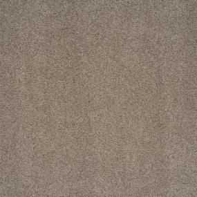 Star Power - Pepper Spice Swatch