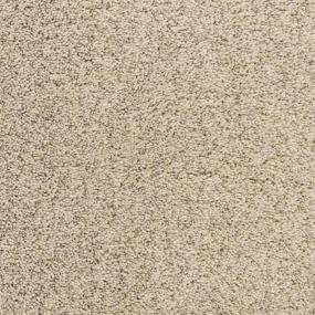 Pacific Grove - Tortilla Flat Swatch
