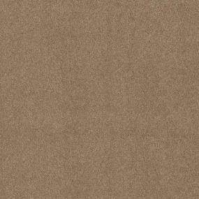 Lockwood I - Safari Swatch