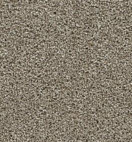 Captivating II - Rich Walnut Swatch