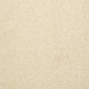 Dazzle - Suede Swatch
