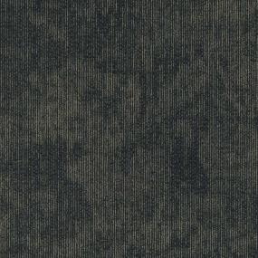 Anatomical TL - Innate Swatch