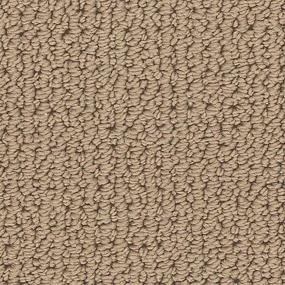 Ancient Coin Swatch Thumbnail