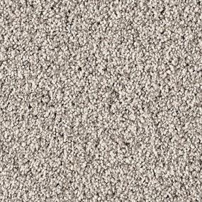 Simply Opulent - Sophisticate Swatch