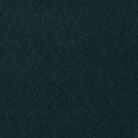Holly Swatch