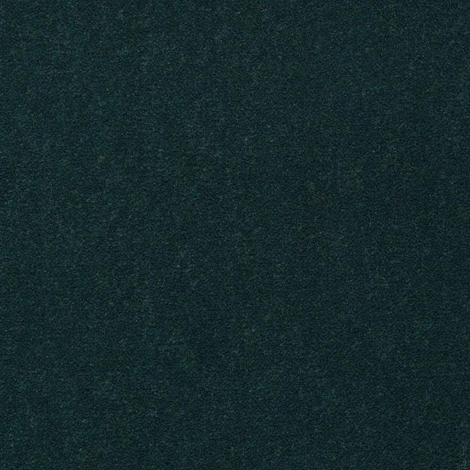 Holly Swatch