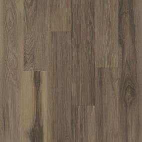 BIG VALLEY SPC - Acadia Falls Swatch