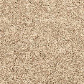 Maison Chic - Ginger Swatch