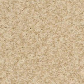 Innovations - Birch Swatch