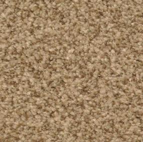 Innovations - Tribeca Swatch
