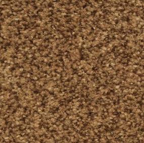 Innovations - Espresso Swatch